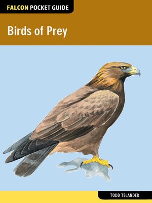 cover image of Birds of Prey